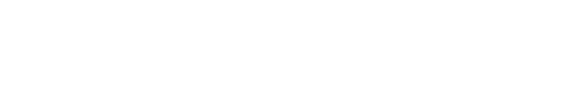 AI Ninjas